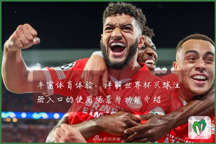 丰富体育体验，详解世界杯买球注册入口的使用场景与功能介绍